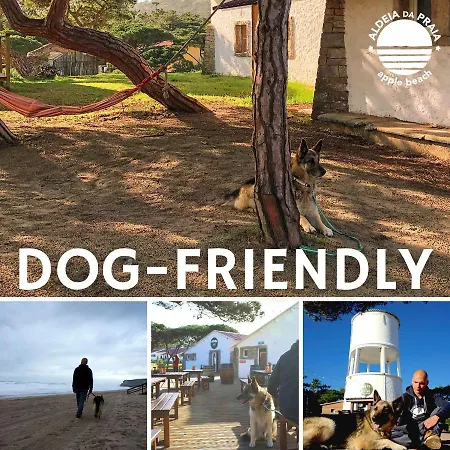 Oasis Backpackers Sintra Surf * Colares