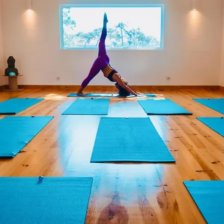 Oasis Backpackers Sintra Surf Ostello *