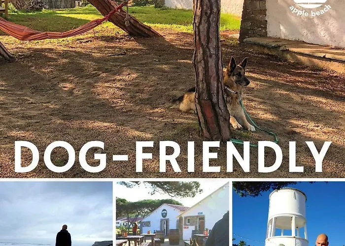 Oasis Backpackers Sintra Surf * Colares