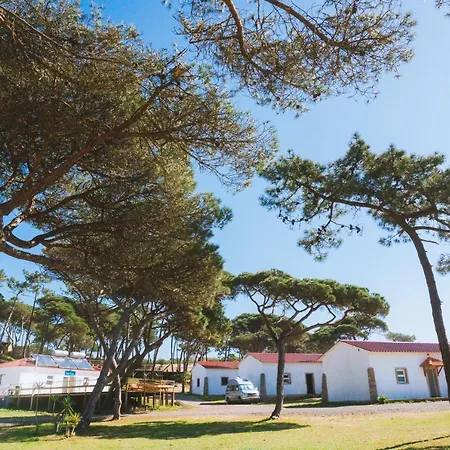 Oasis Backpackers Sintra Surf Коларес
